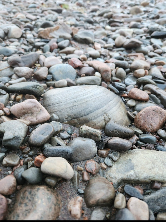 Retiring as the Family Executive Function